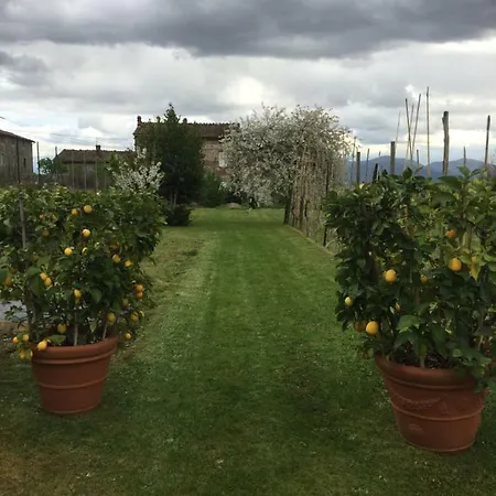 A Cecchella