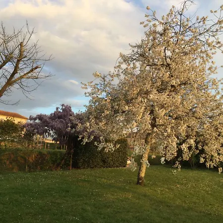 A Cecchella Ferienhaus Piaggiori